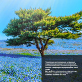 UNO ONE UN367 Black Массажное кресло