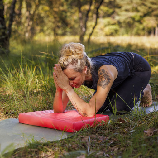 Балансировочная подушка AIREX Balance Pad Cloud Балансировочная подушка AIREX Balance Pad Cloud