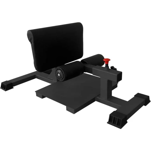 Сисси присед BRONZE GYM AL-203