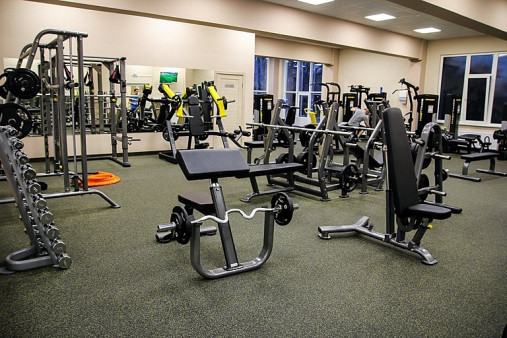 Скамья Скотта регулируемая Hasttings Digger HD017-4 Скамья Скотта регулируемая Hasttings Digger HD017-4