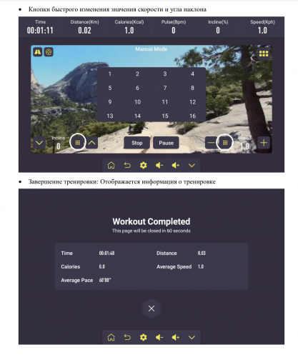 Беговая дорожка электрическая Proxima Ivetta IPro с экраном 15.6" Touch Screen. Арт. PROT-224