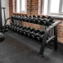 Стойка для гантелей (10 пар) BRONZE GYM BR-1025