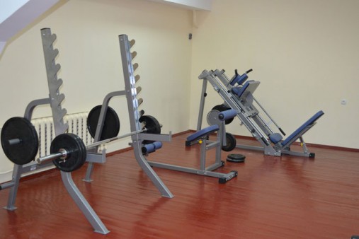 Тренажер, нагружаемый дисками, для спины и пресса AeroFit IF IFABM Тренажер, нагружаемый дисками, для спины и пресса AeroFit IF IFABM