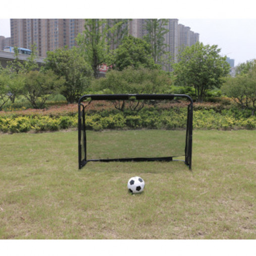 Футбольные ворота с тренировочным экраном Scholle F184